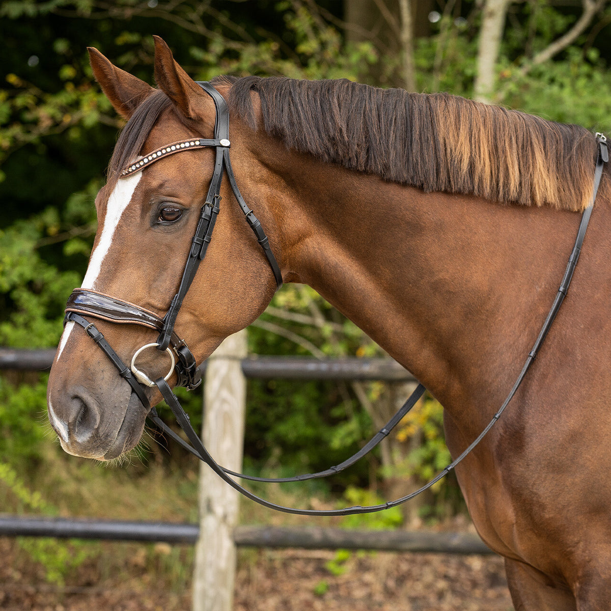 Bridle Orlando incl. reins