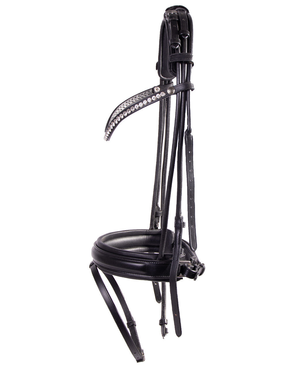 Bridle Cyrelle