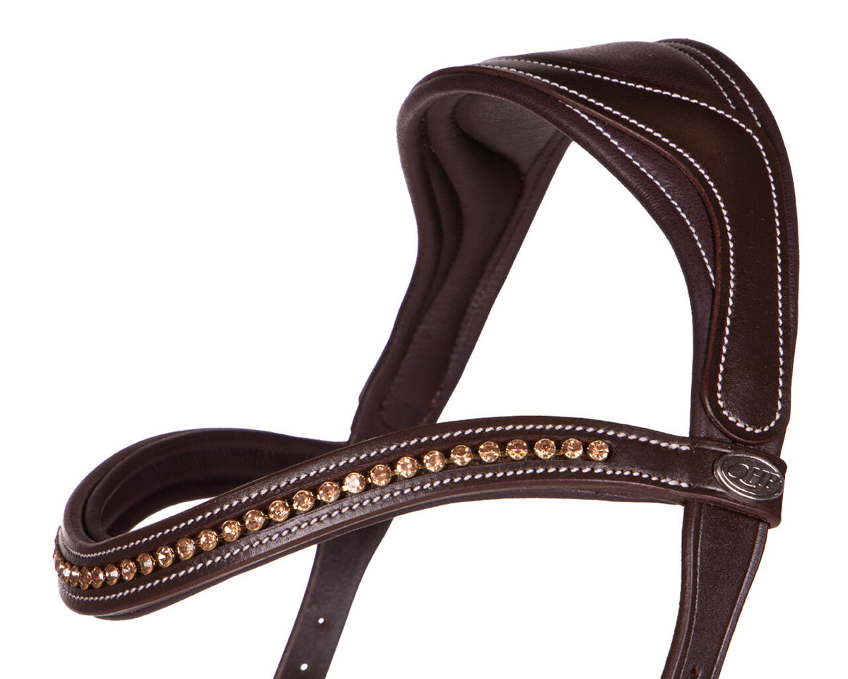 bitless bridle anatomical