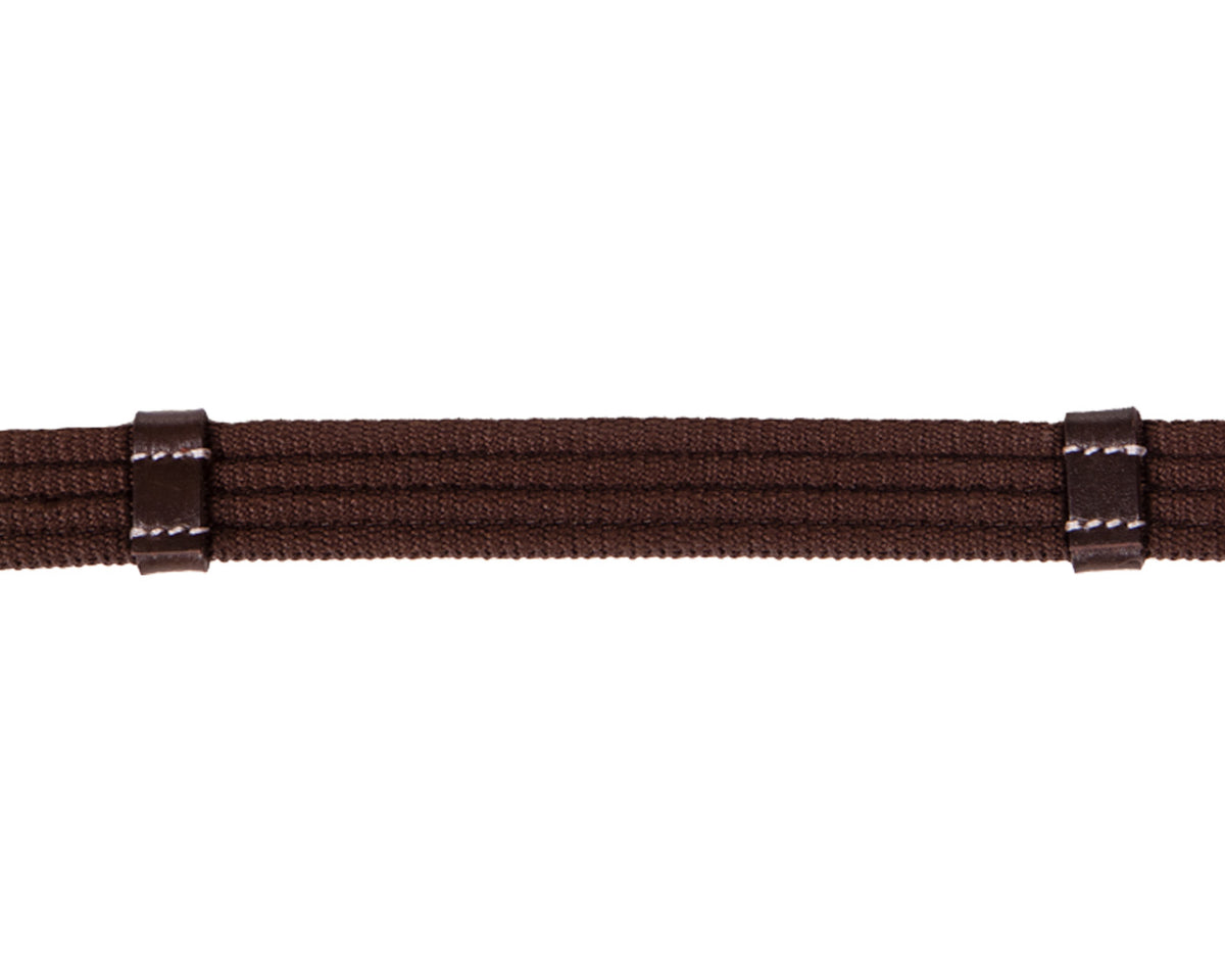bitless bridle anatomical