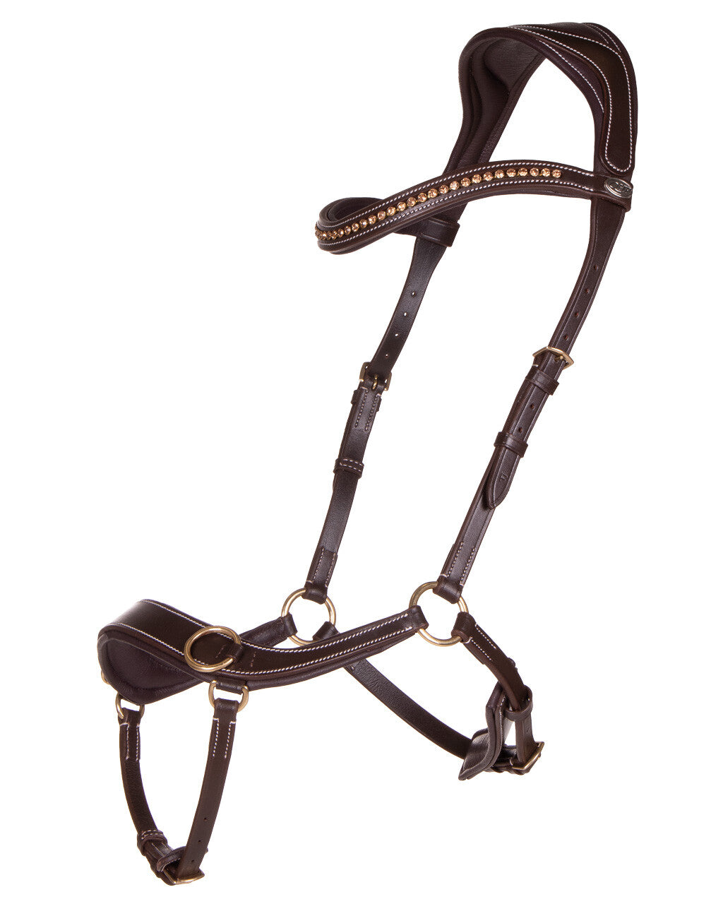 bitless bridle anatomical
