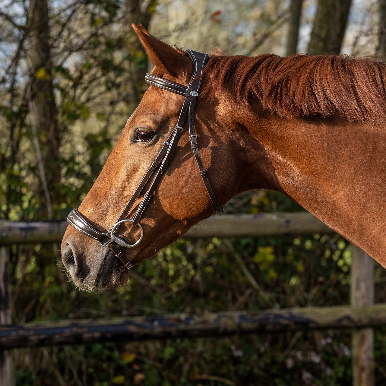 Low bridle luxury incl. reins