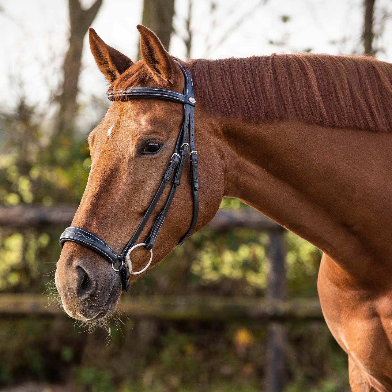 Low bridle luxury incl. reins