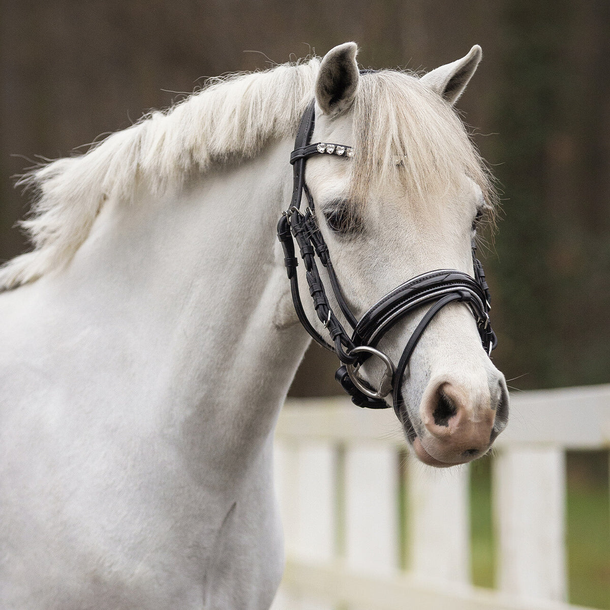 Bridle Bixie incl. reins