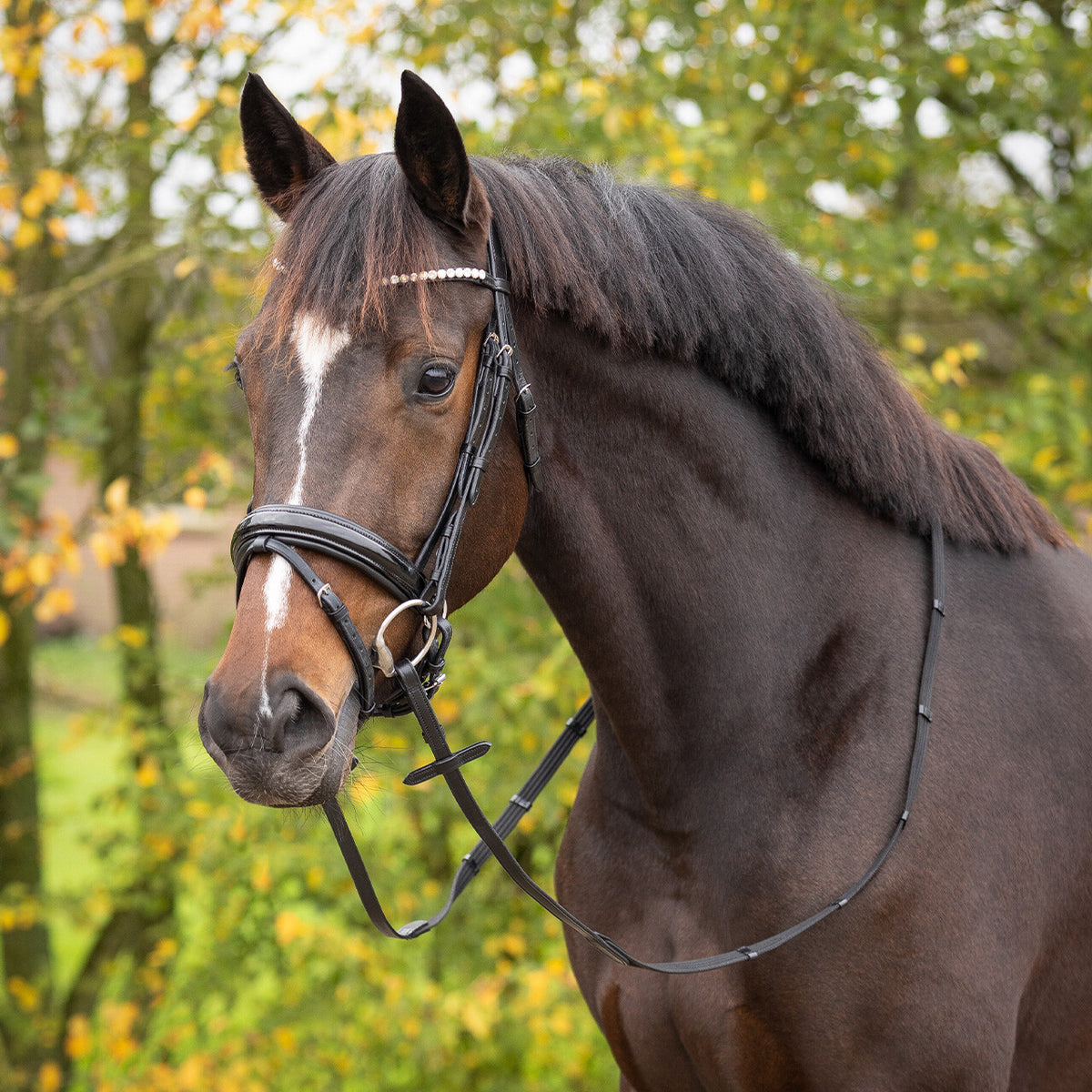 Bridle Sunset incl. reins