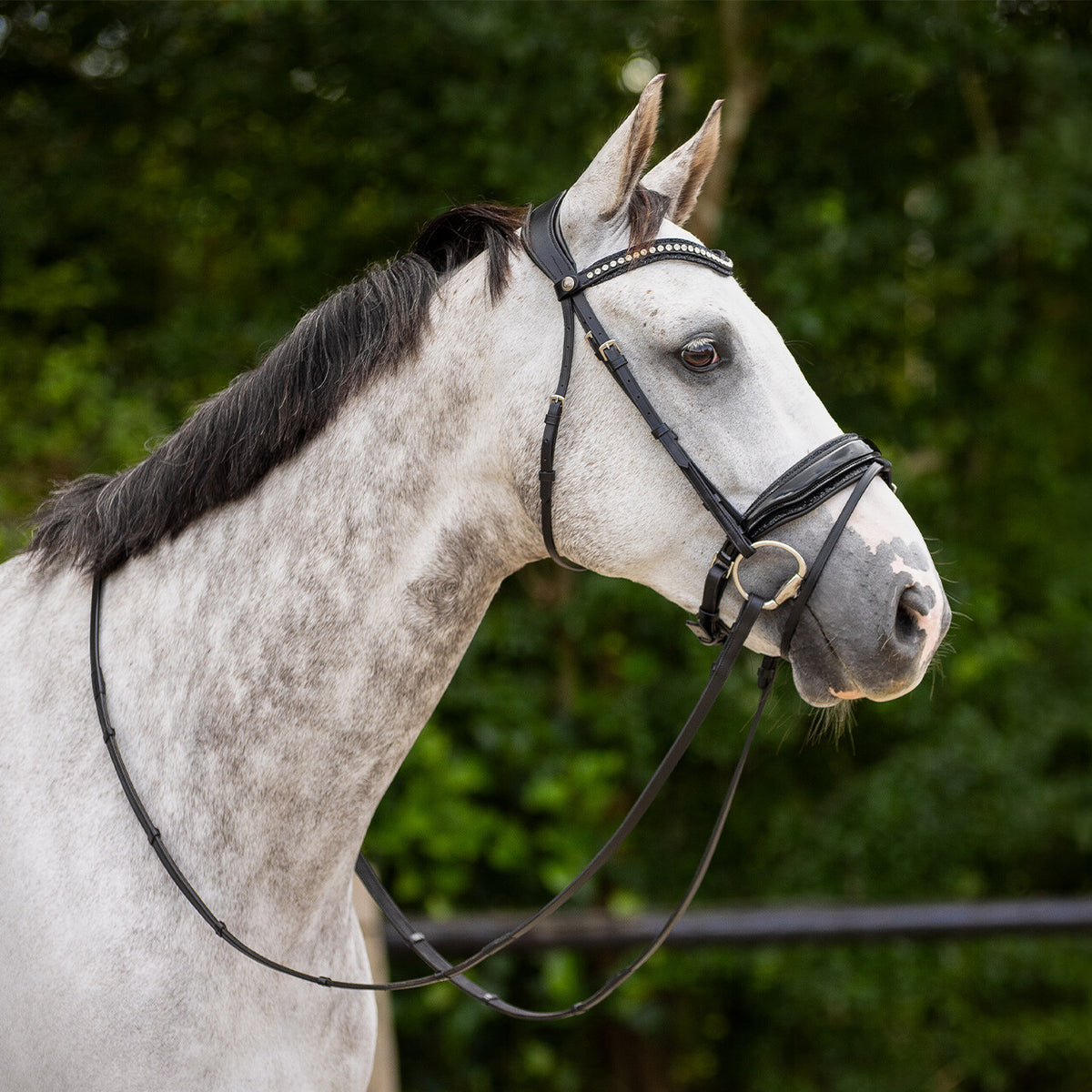 Bridle Skye incl. reins