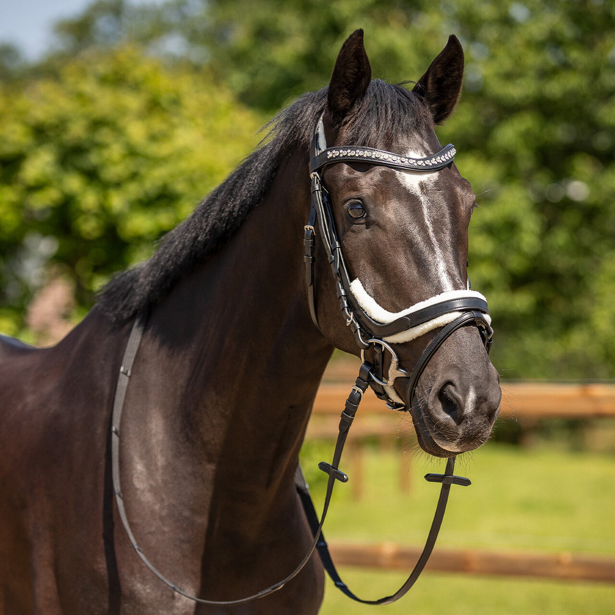 Bridle Sensisoft fur patches