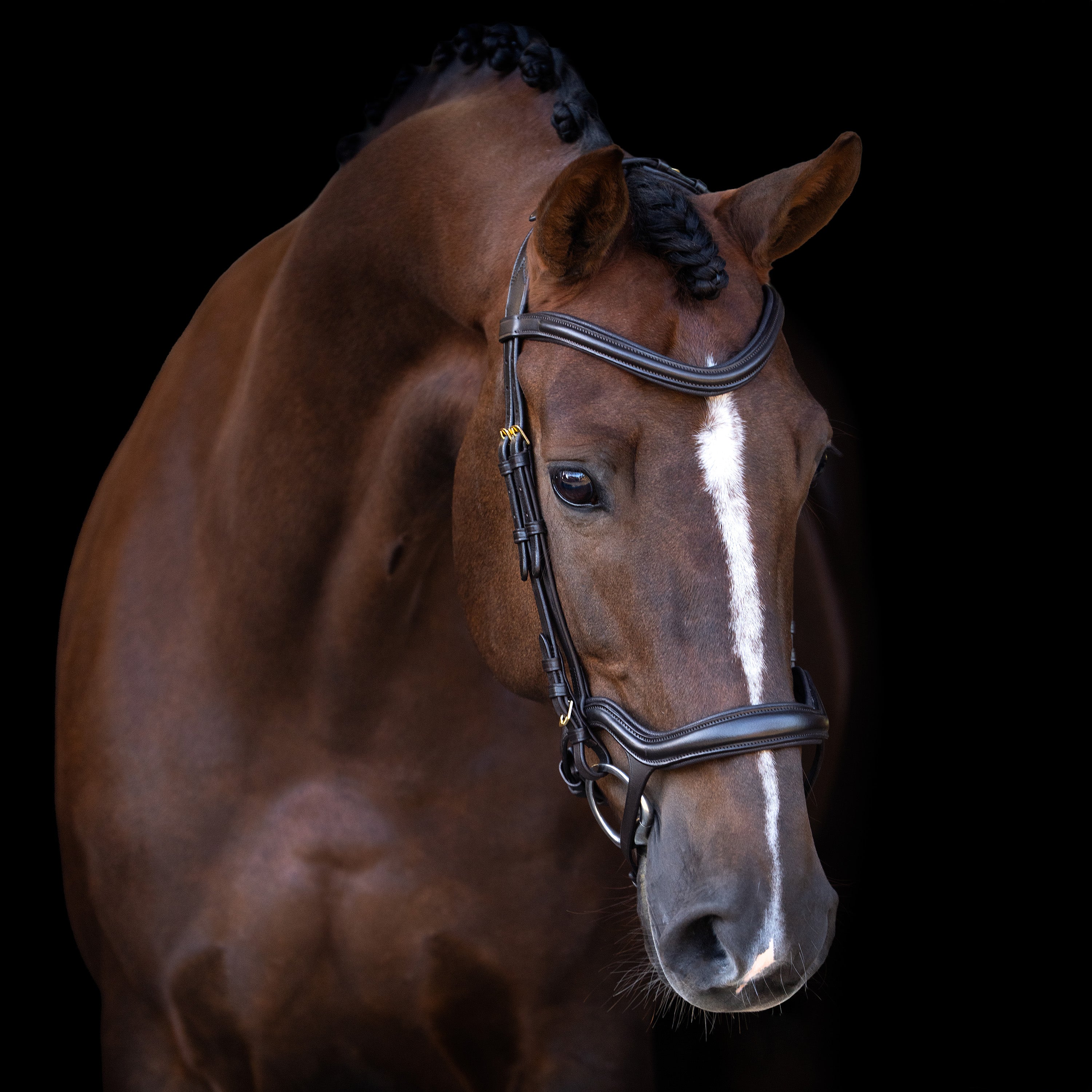 Bridle IRH with ergonomic drop noseband/flash