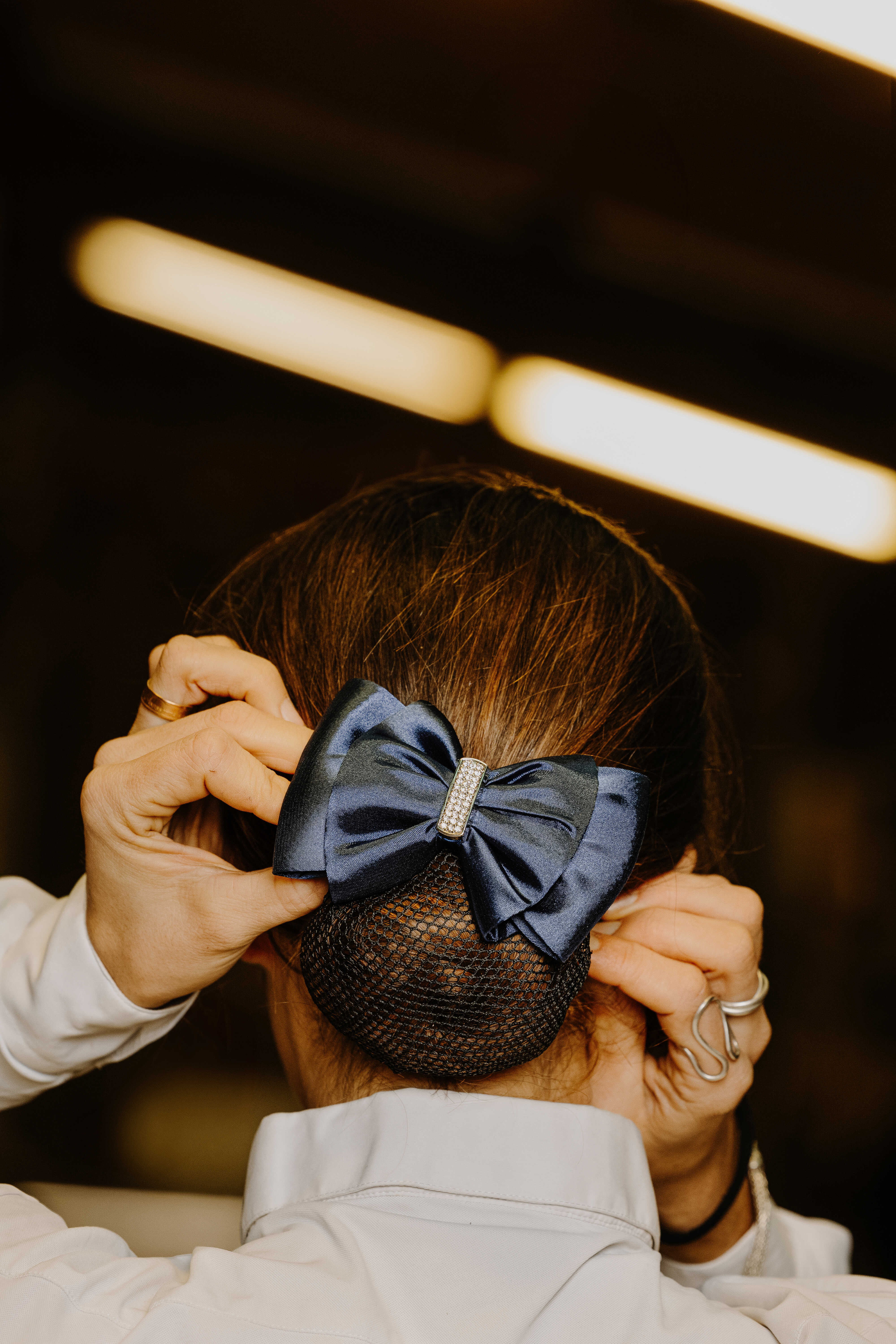 EQUITHEME - Strass - Hairnet/Clip