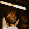 EQUITHEME - Mesh Hairnet
