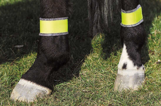 Bandages jaune NORTON pour postÃ©rieurs