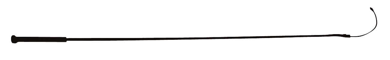 WHIP & GO Dressage Whip