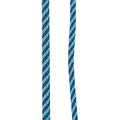 WHIP & GO - Tourillon - Lunge Whip