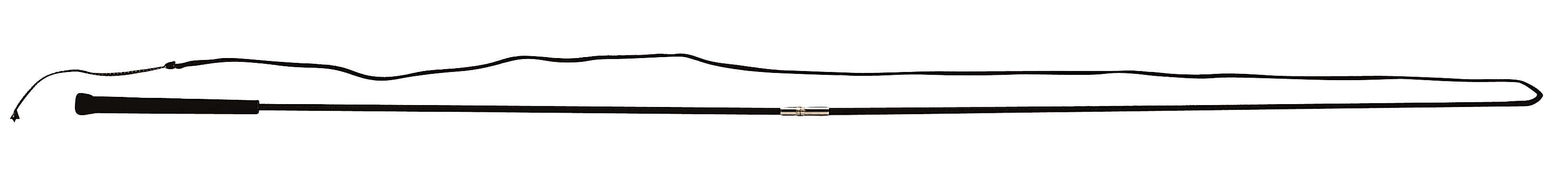 WHIP & GO - Removable Lunge Whip