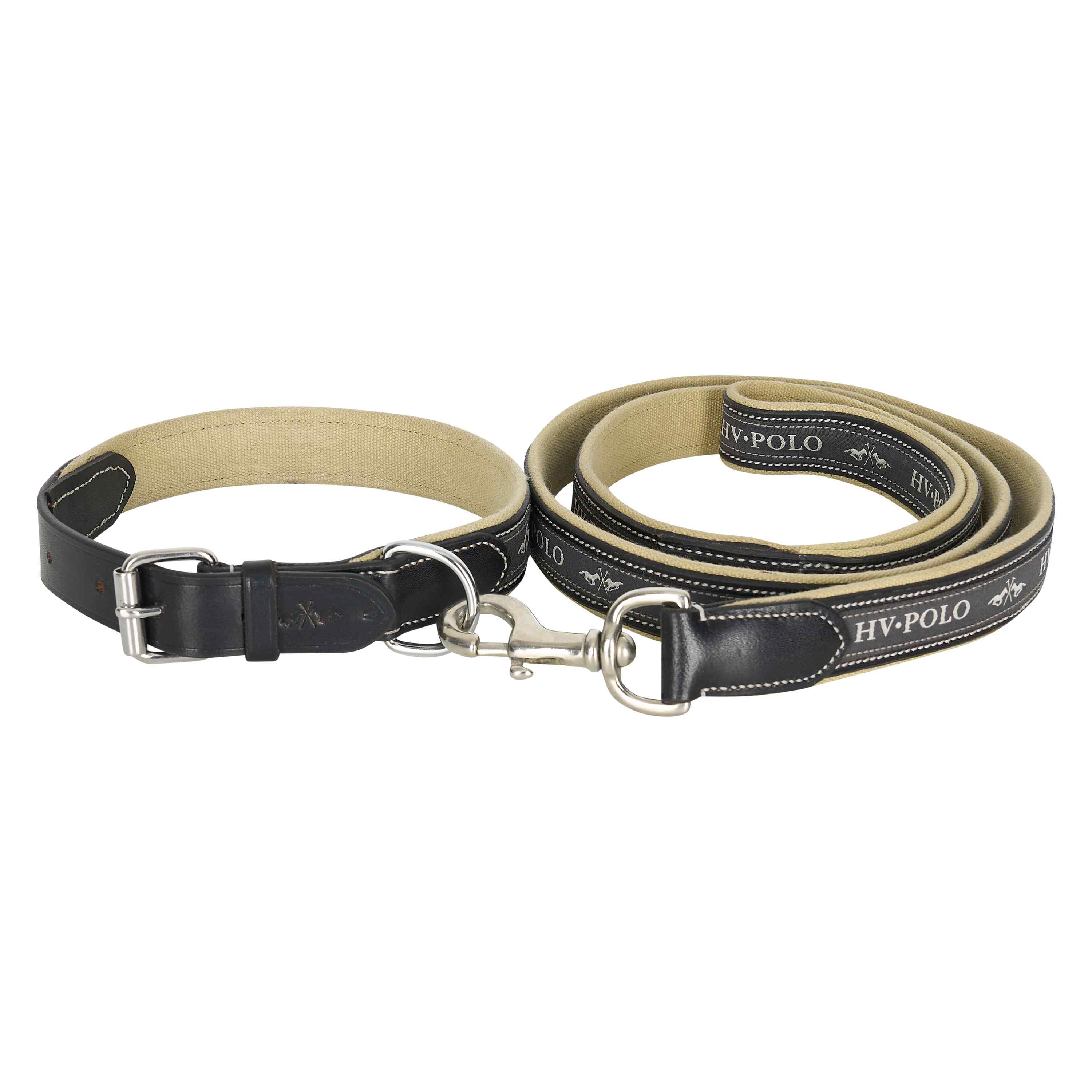Dog collar HVPIconic