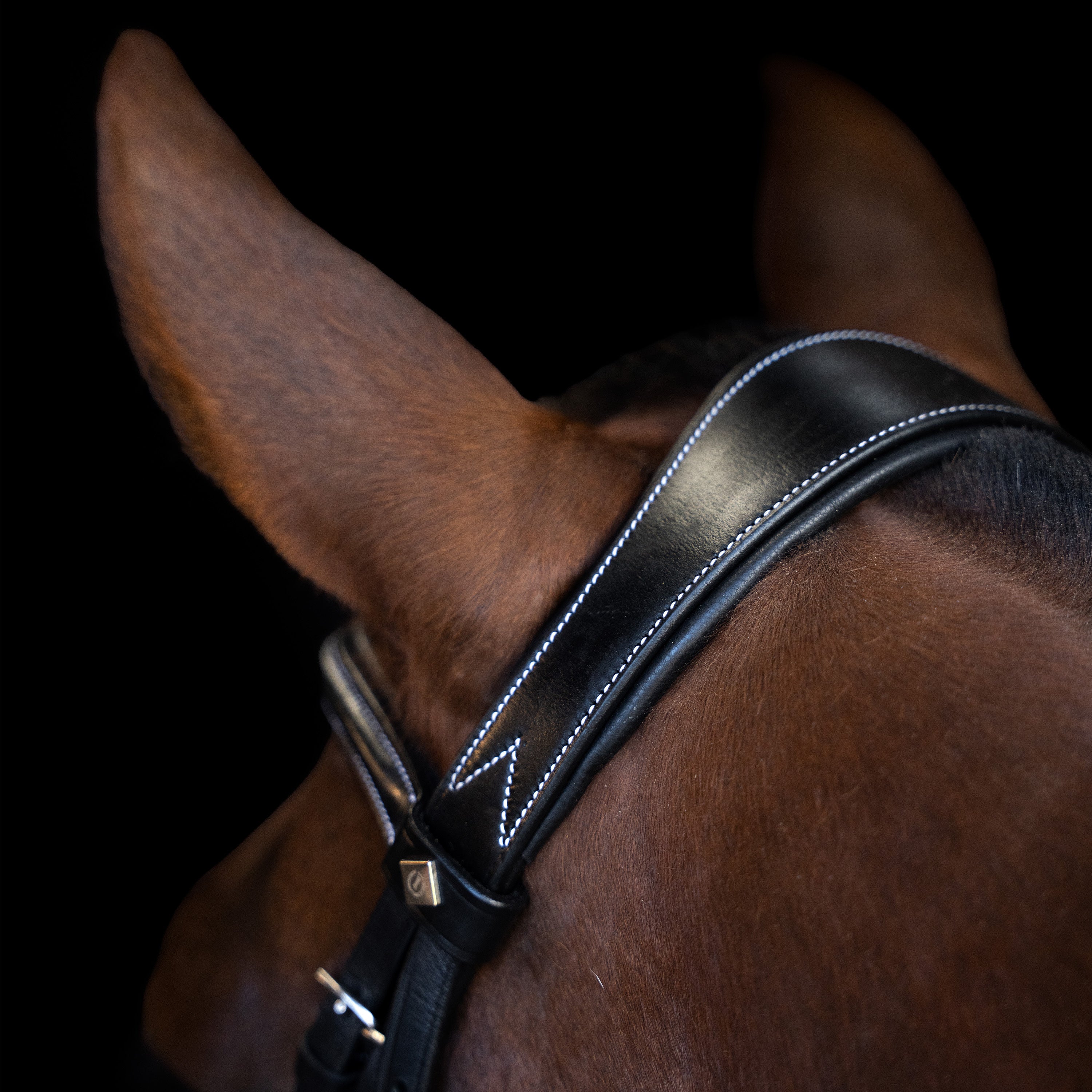 Bridle IRH with curved cut English noseband