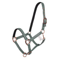 Headcollar IRHAmbient
