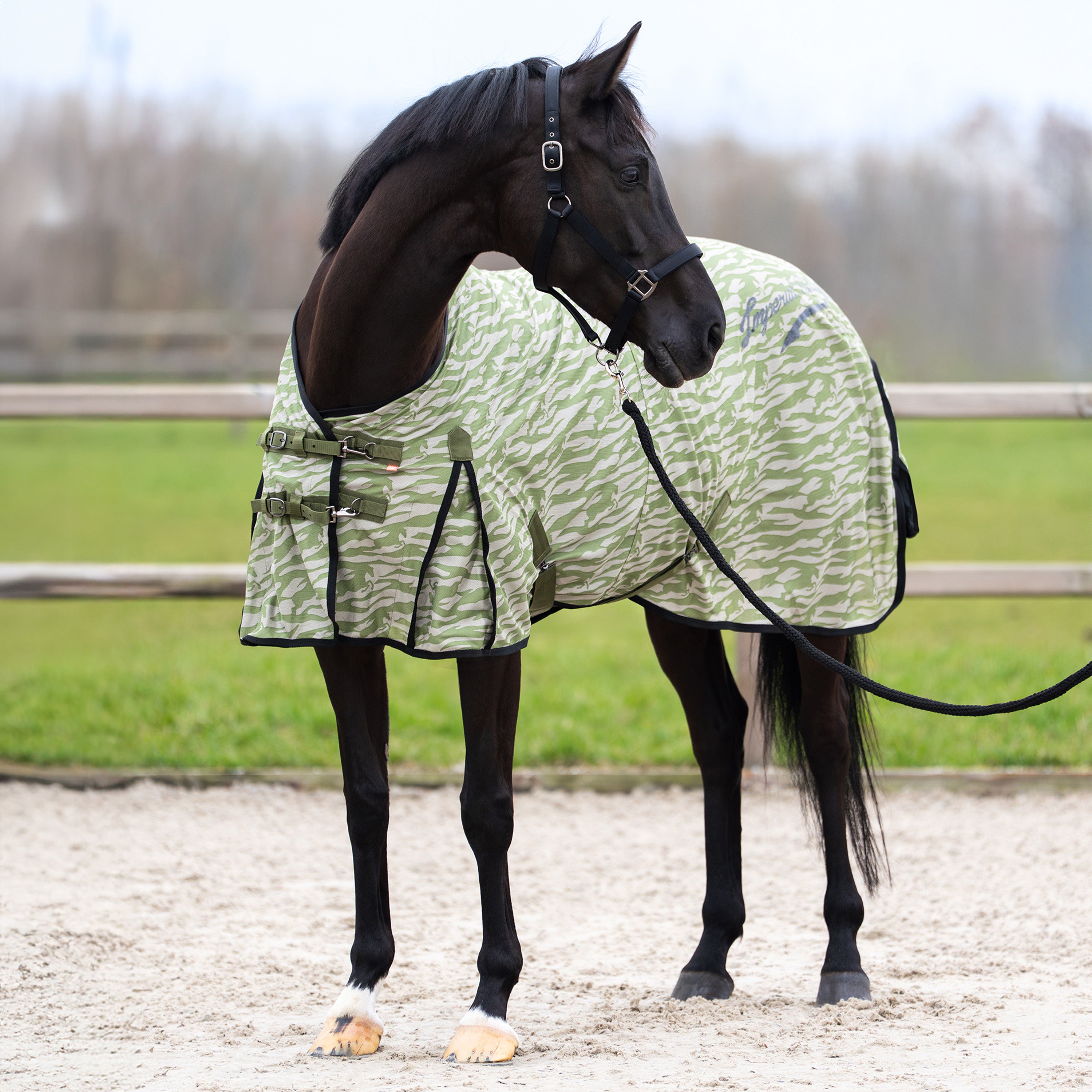 Fly blanket IRHCarlys