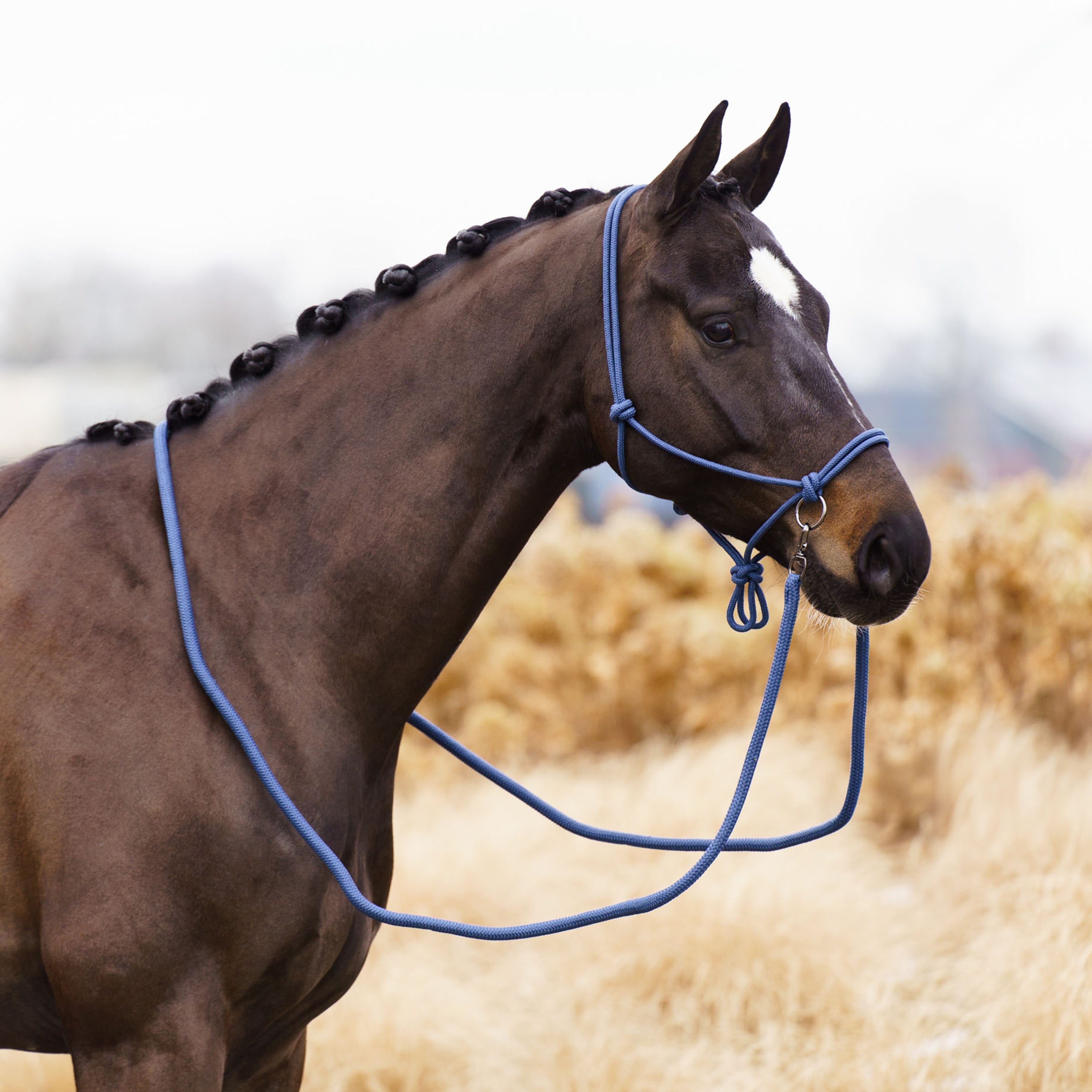 Rope headcollar IRHFree Ride