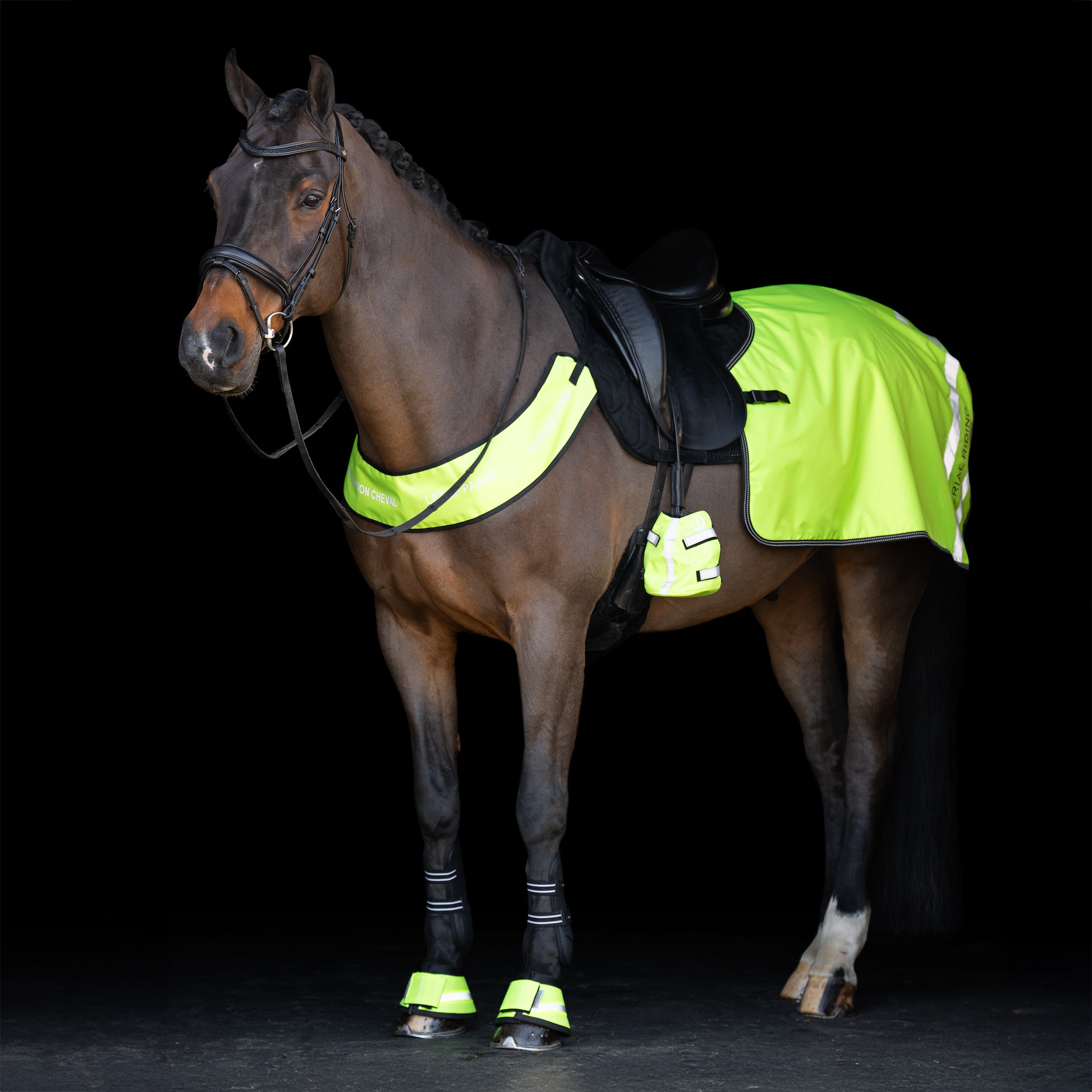 Breast Plate IRHReflective
