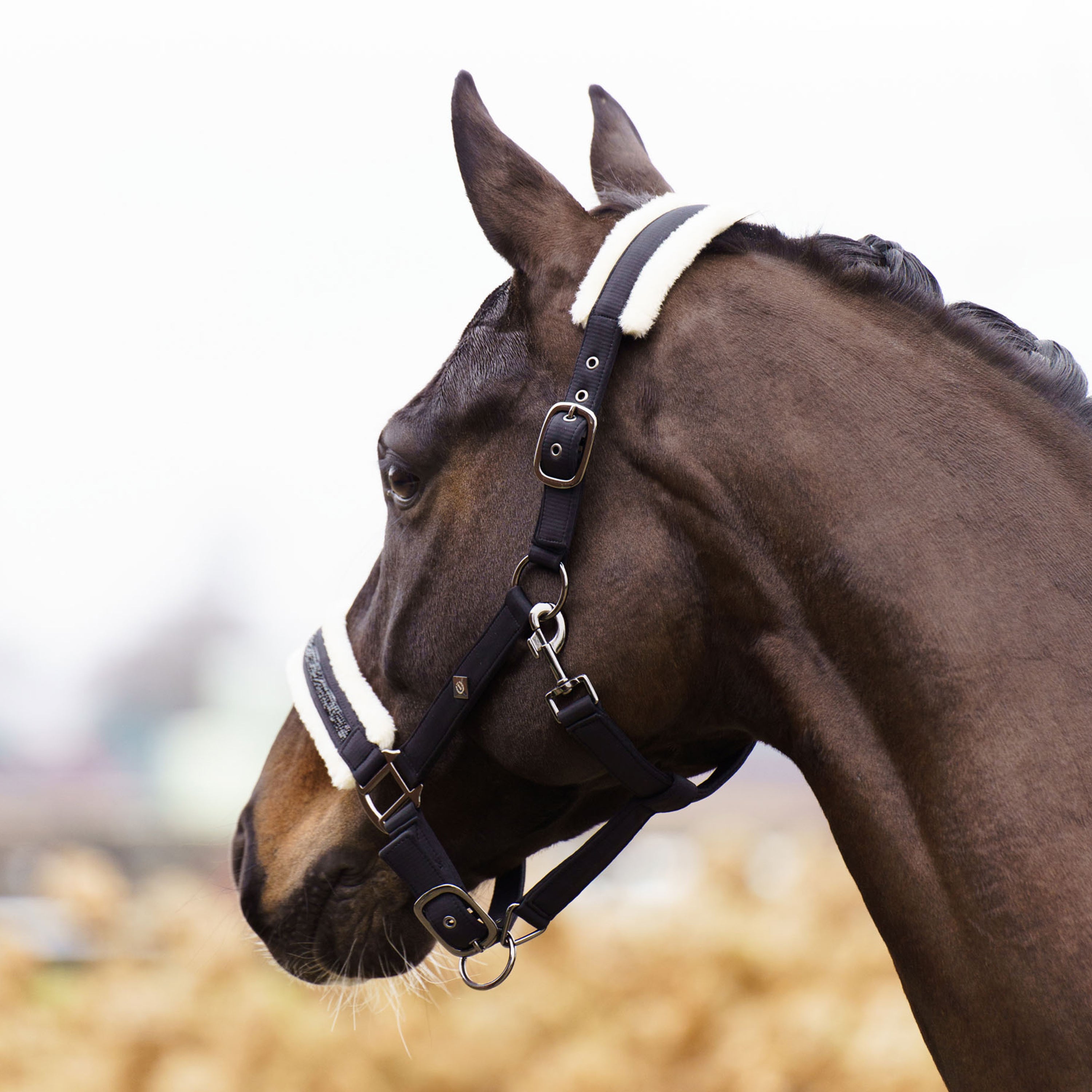 Headcollar IRHJewel