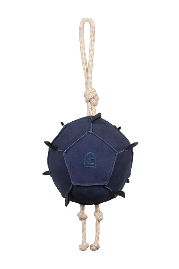 CAVALTONI Admiral Blue