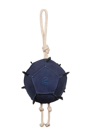 CAVALTONI Admiral Blue