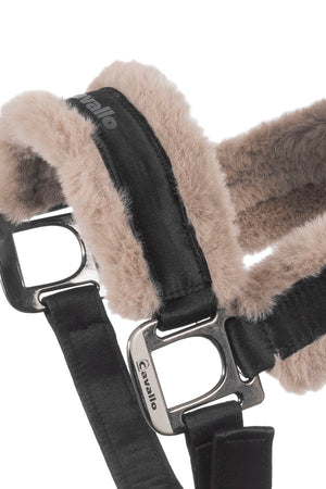 CAVALJERO black / GP/PONNY