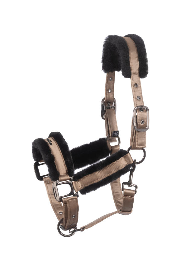 CAVALJERO biscuit / GP/PONNY