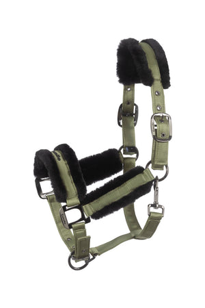 CAVALJERO tea leaf / GP/PONNY