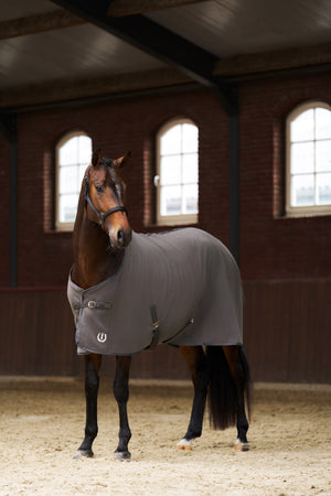 Fleece blanket IRHFundamental Grey / 195