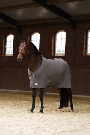 Fleece blanket IRHFundamental Grey / 215