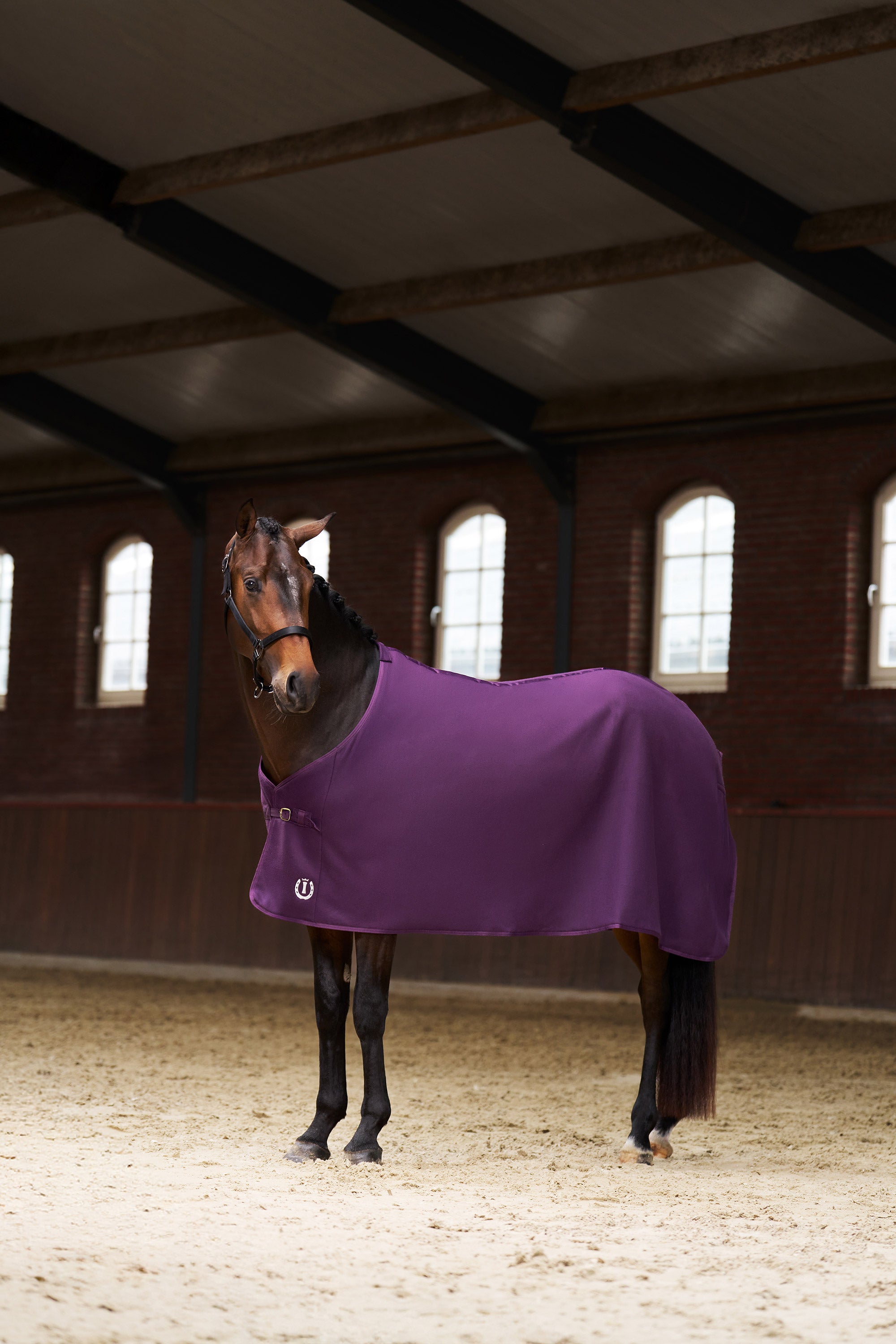 Fleece blanket IRHFundamental Basic Fig / 215