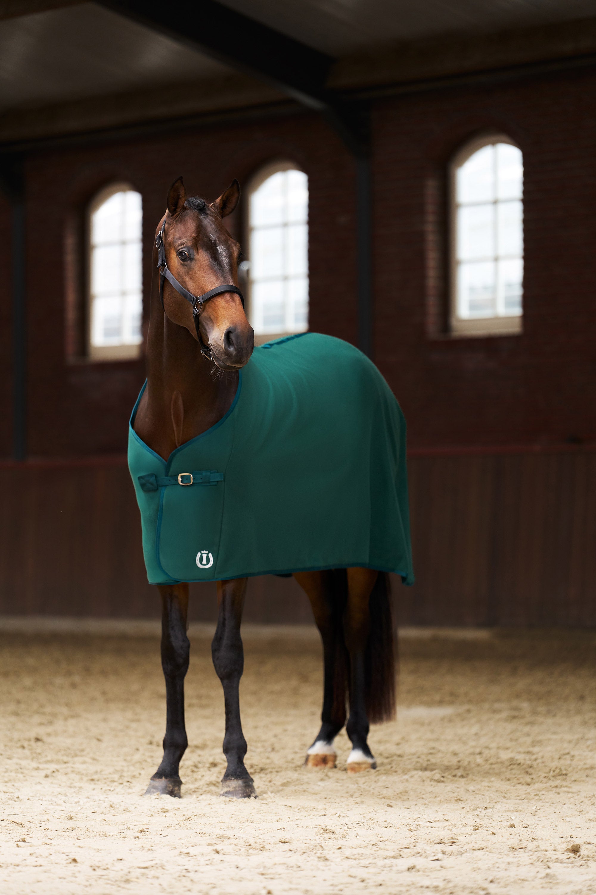 Fleece blanket IRHFundamental Basic Forest green / 195