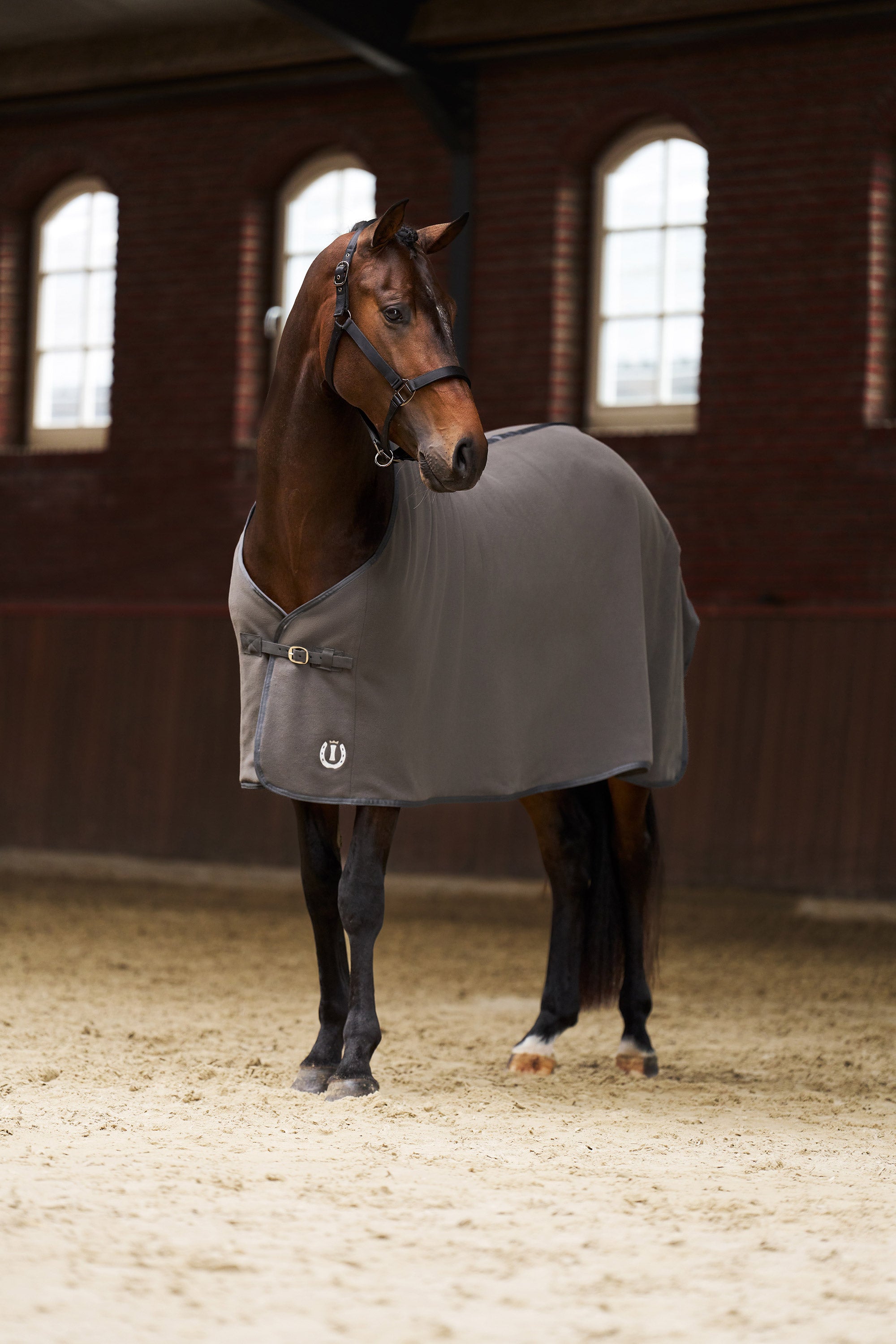 Fleece blanket IRHFundamental Basic Grey / 195