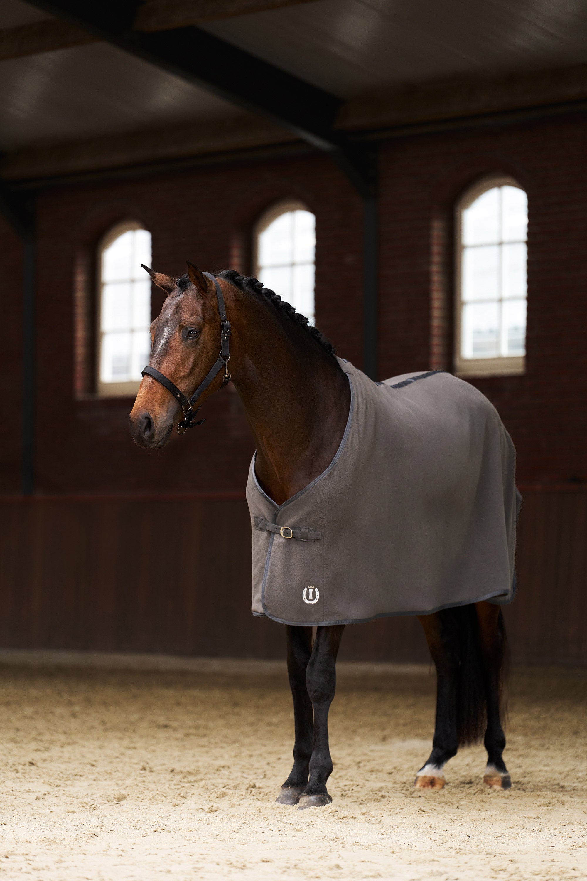 Fleece blanket IRHFundamental Basic Grey / 215