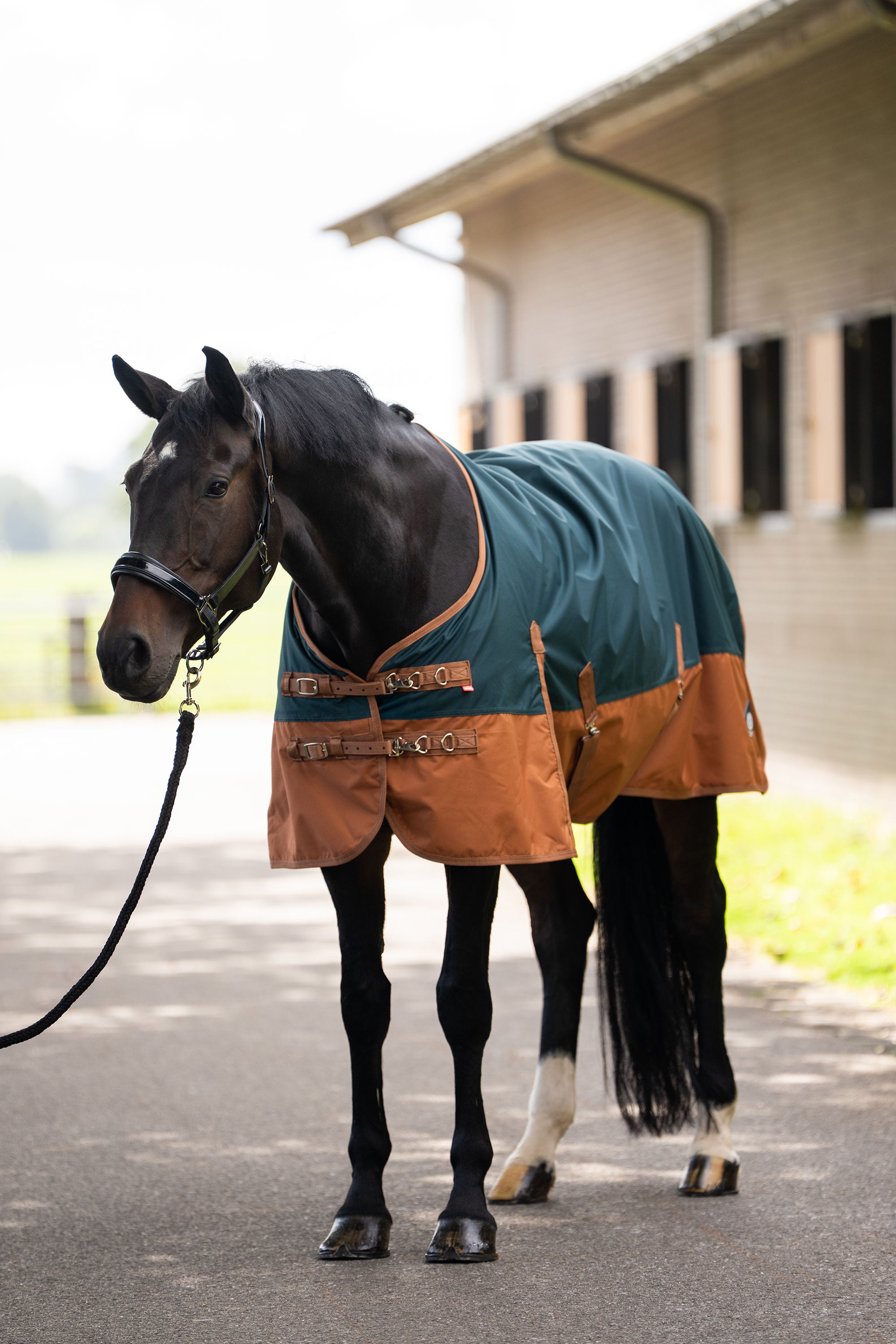 Outdoor blanket IRHCustomized without neck Fleece Dark Green - Fox / 175