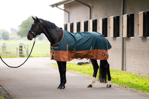 Outdoor blanket IRHCustomized without neck Fleece Dark Green - Fox / 175