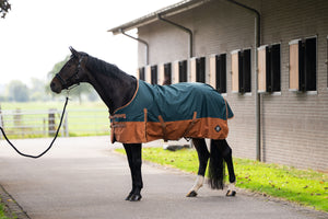 Outdoor blanket IRHCustomized without neck Fleece Dark Green - Fox / 175