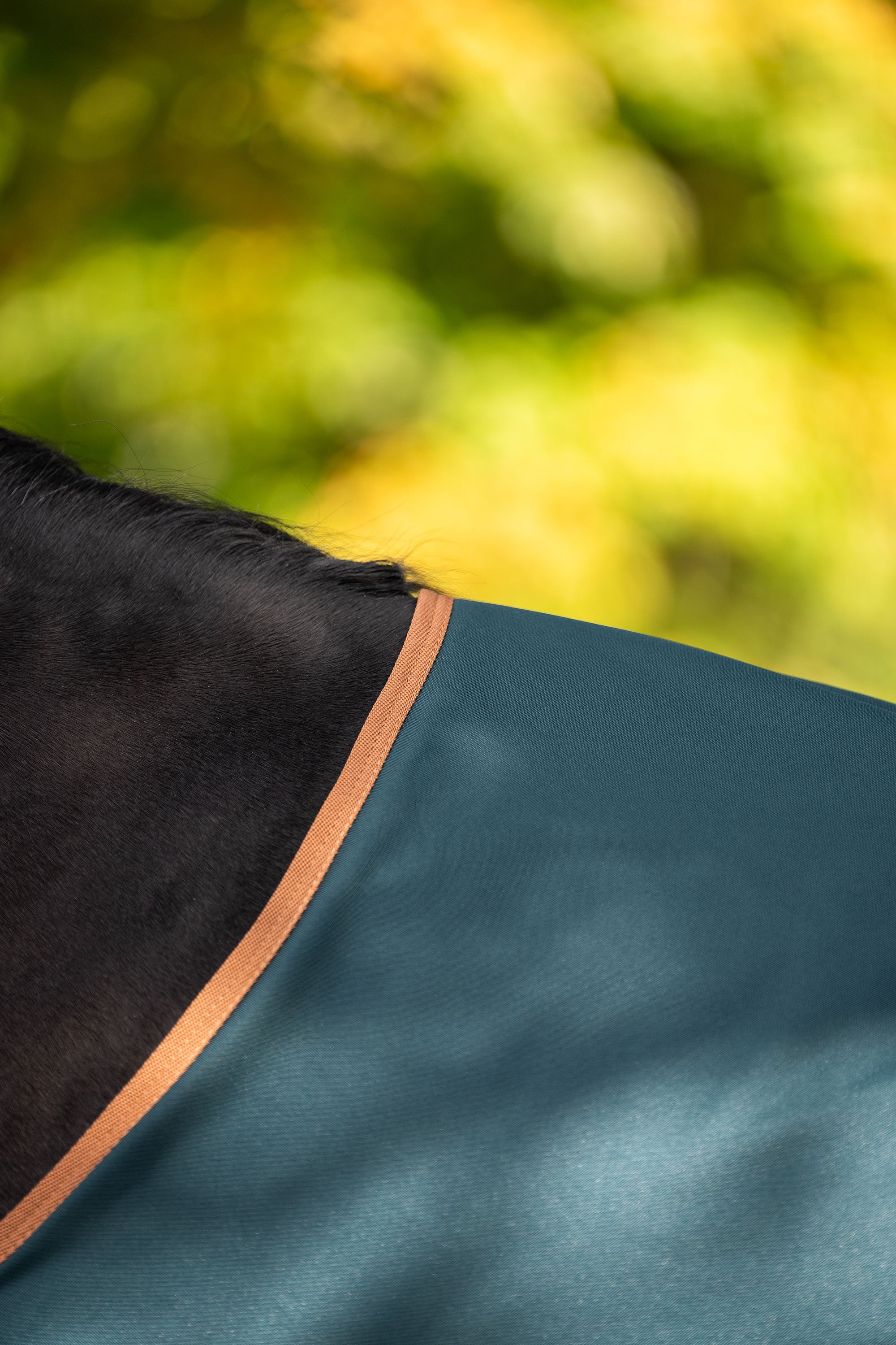 Outdoor blanket IRHCustomized without neck Fleece Dark Green - Fox / 175