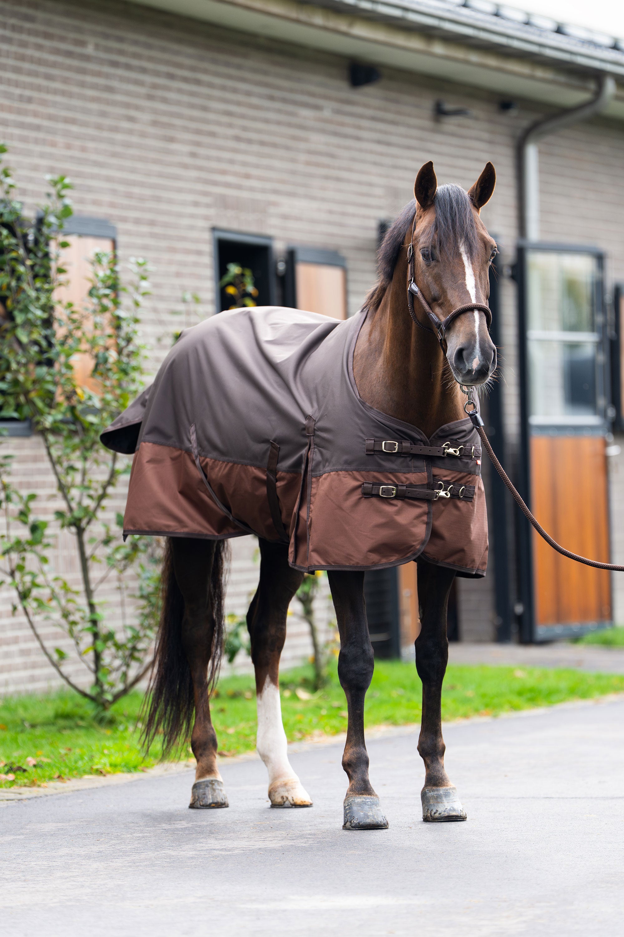 Outdoor blanket IRHCustomized without neck 400gr Dark Brown - Light Brown / 175