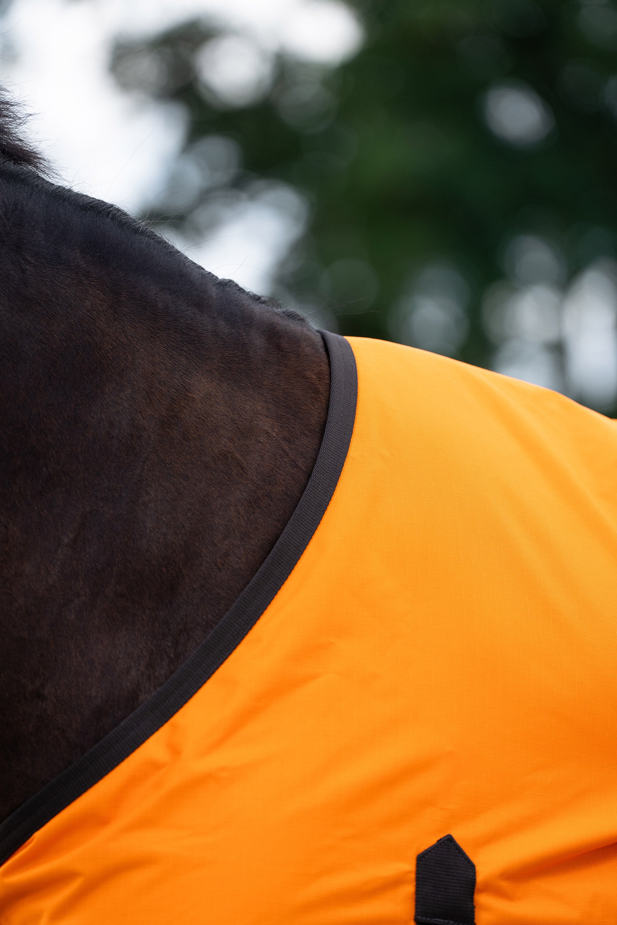 Outdoor blanket IRHCustomized without neck Summer Orange-Dark Brown / 185