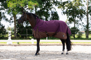 Outdoor blanket IRHCustomized with high neck 200gr Burgundy - Light Brown / 165