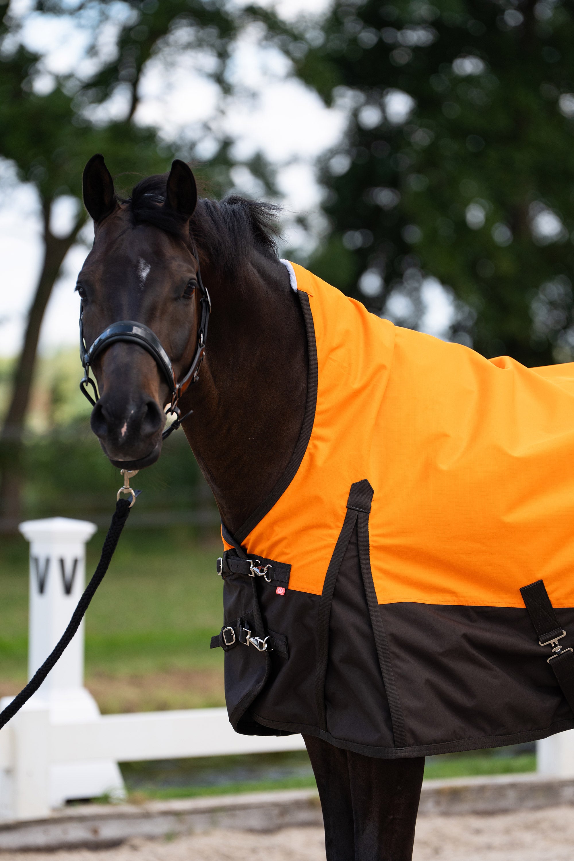 Outdoor blanket IRHCustomized with high neck Summer Orange-Dark Brown / 165