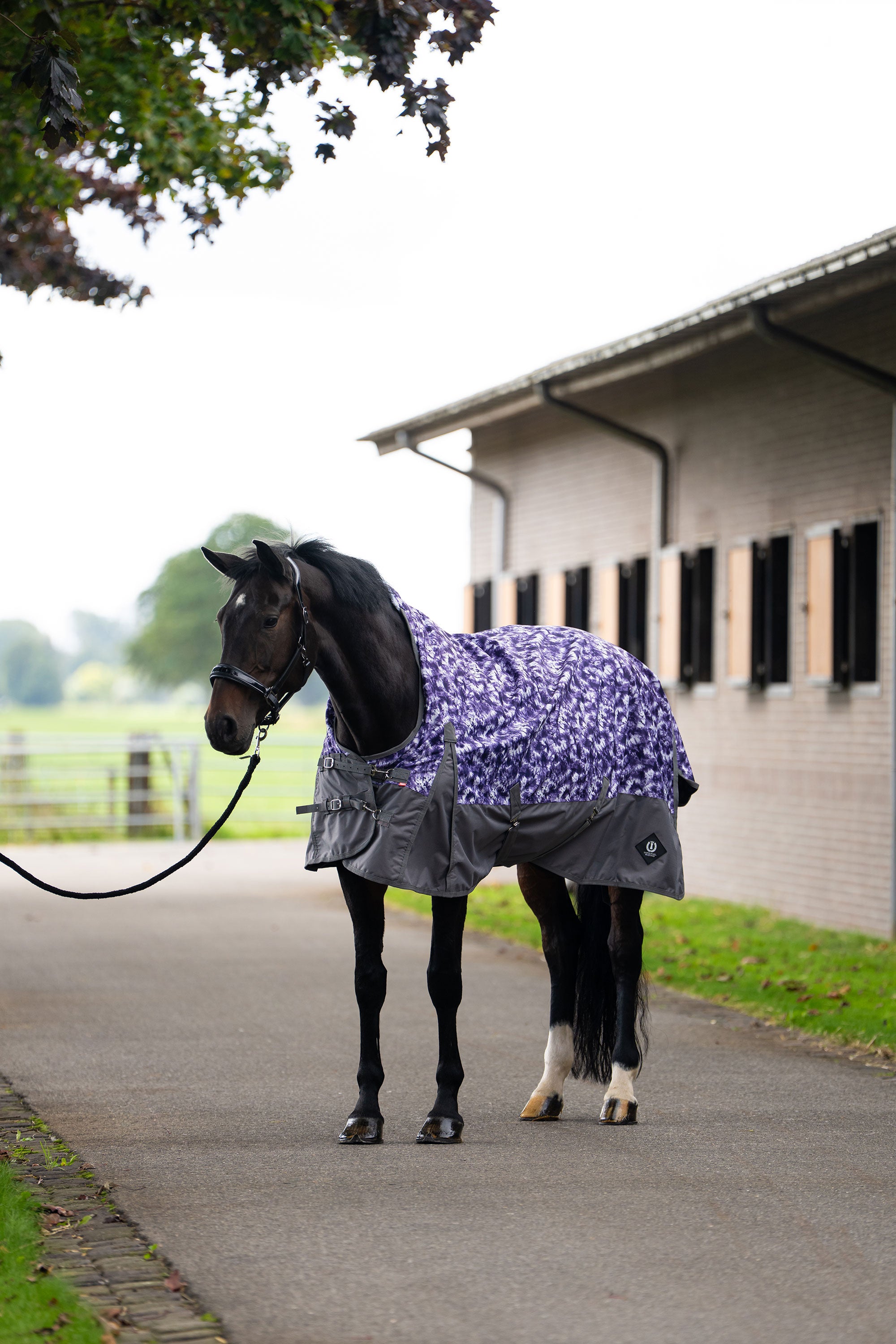 Outdoor blanket IRHCustomized with high neck Summer Purple check - Grey / 195