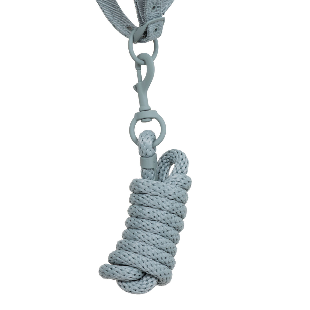 Technical halter with double adjustment and rubber-coated buckles