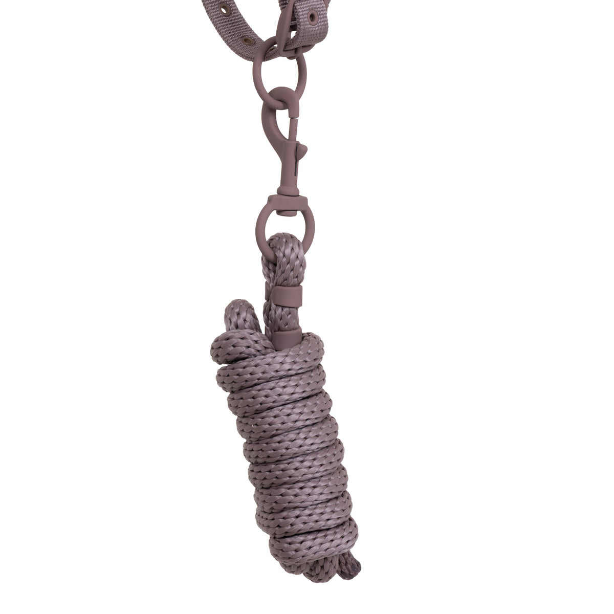 Technical halter with double adjustment and rubber-coated buckles