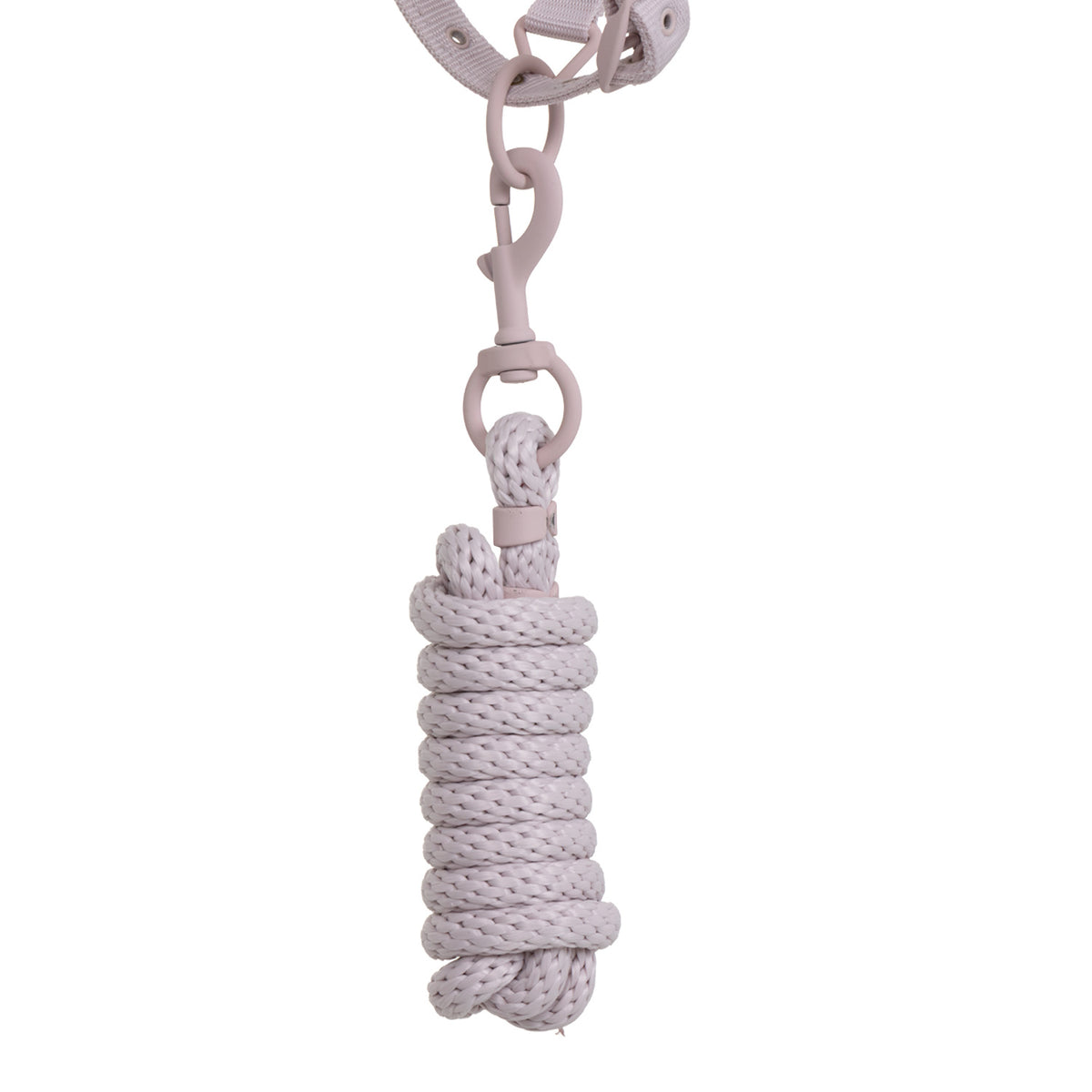 Technical halter with double adjustment and rubber-coated buckles