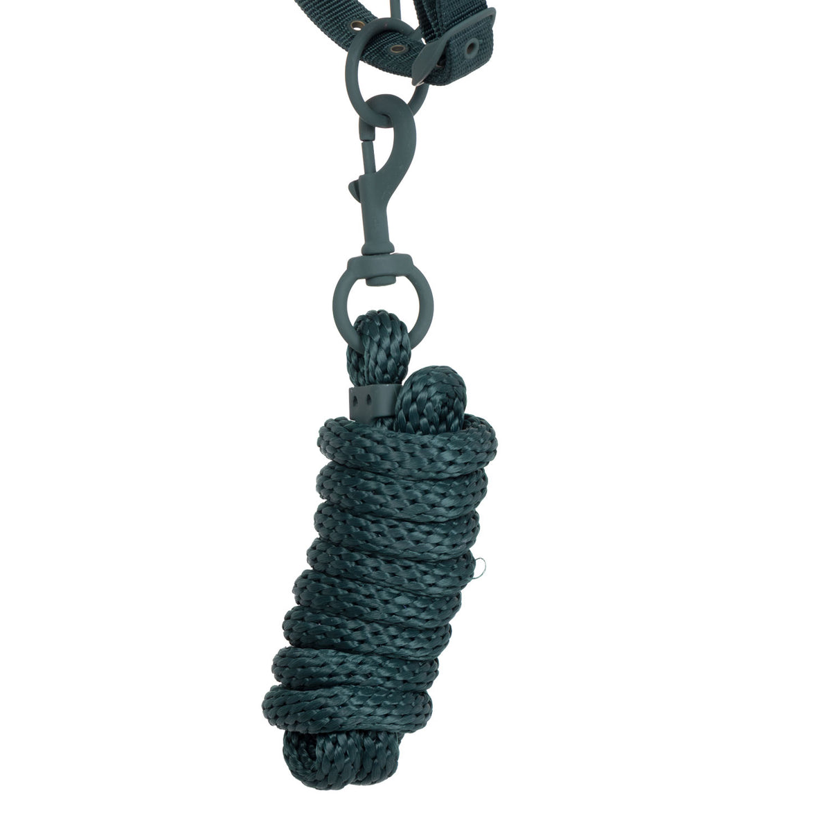 Technical halter with double adjustment and rubber-coated buckles