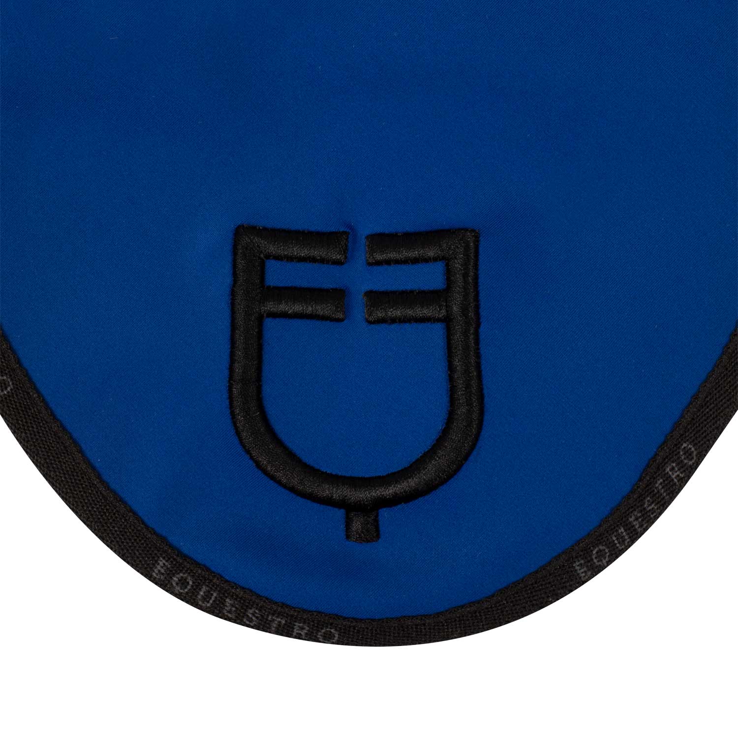 Ffly Veil In Technical Fabric With Logo sodalite blue (19-3953)/Black / Ponny